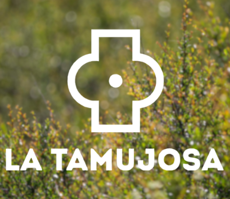 logo_tamujosa_fondo