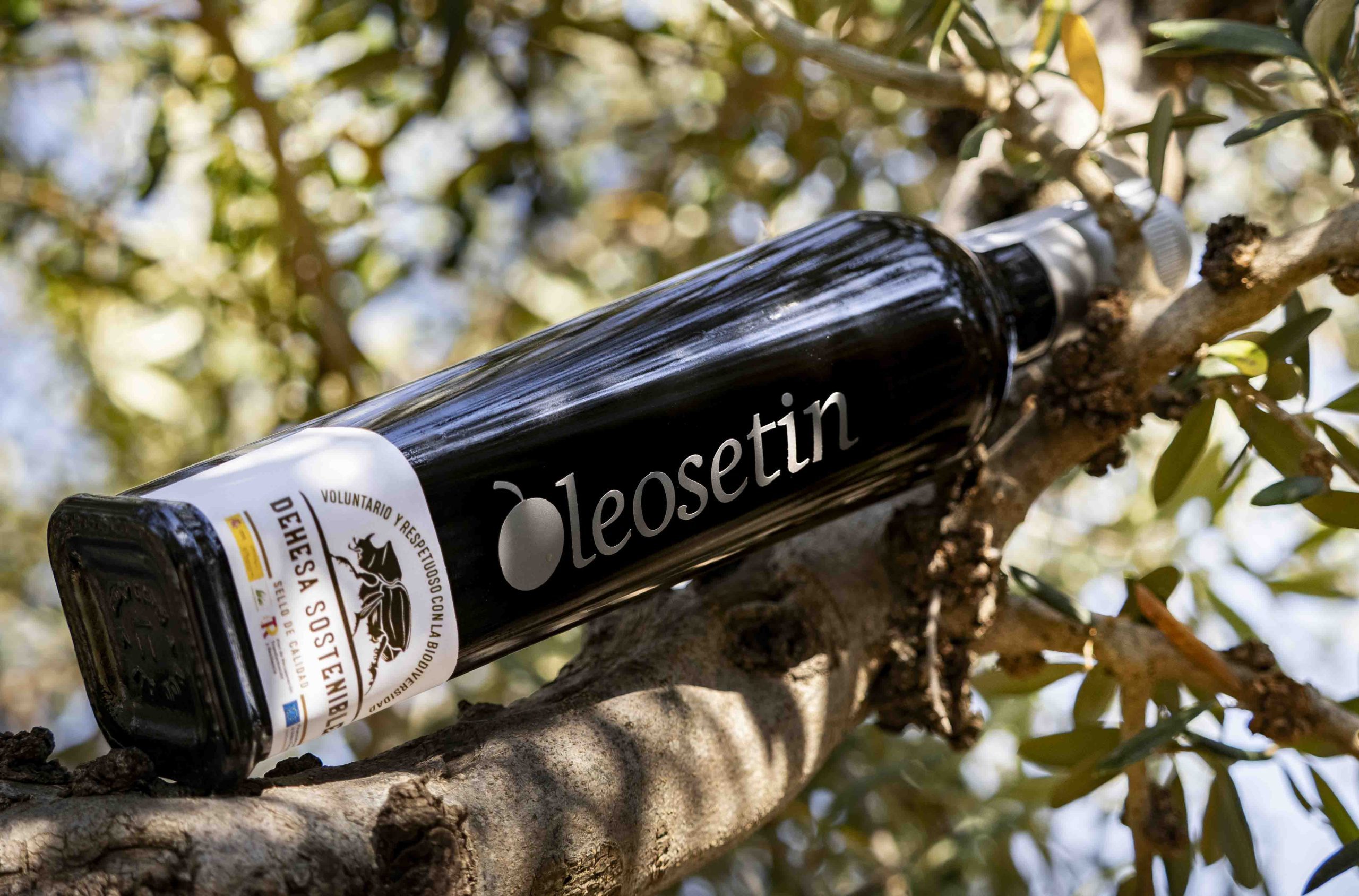 Oleosetin