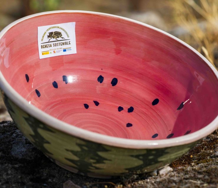 barro fresco  sandia