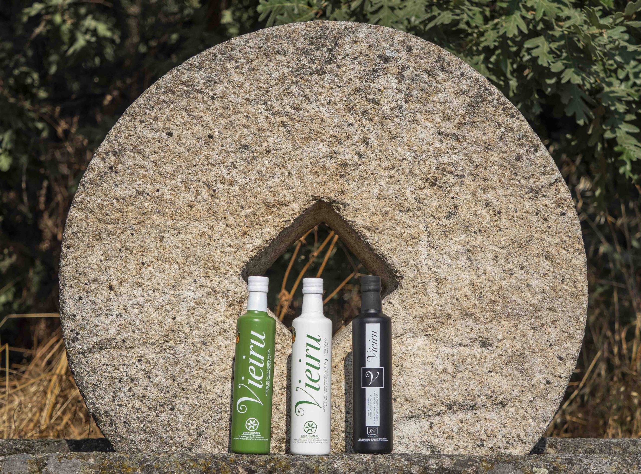 Aceite Vieru de Almazara As Pontis