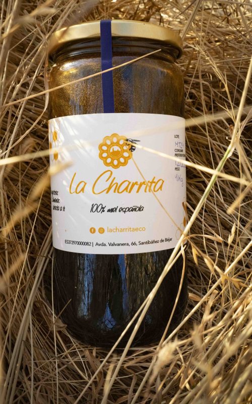 la charrita eco la charrita eco